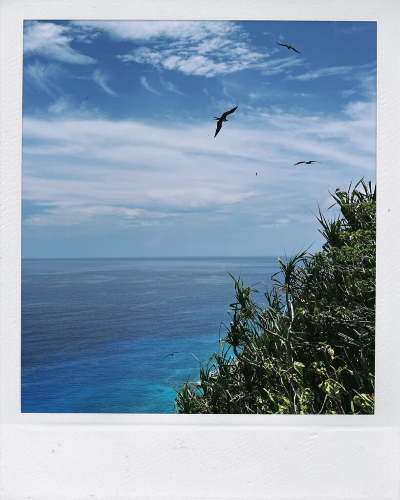 Vogelinsel Aride: Wunderschöner Blick mit tausenden von Vögeln