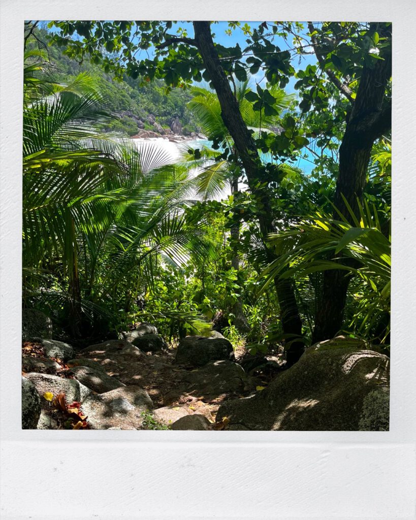 Ausblick bei der Anse Cocos Wanderung auf die Petite Anse auf La Digue