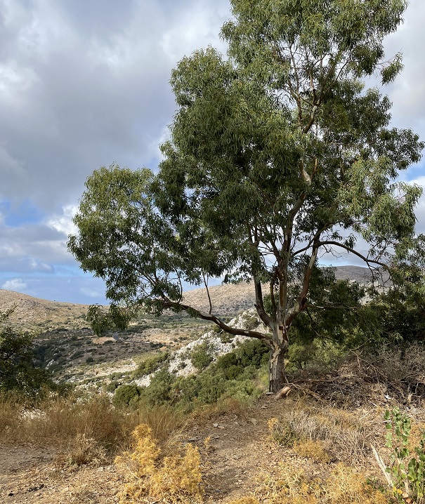 Aussicht in den Bergen von Kreta