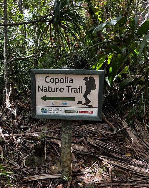 Copolia Trail auf Mahé, Seychellen: Der Startpunkt