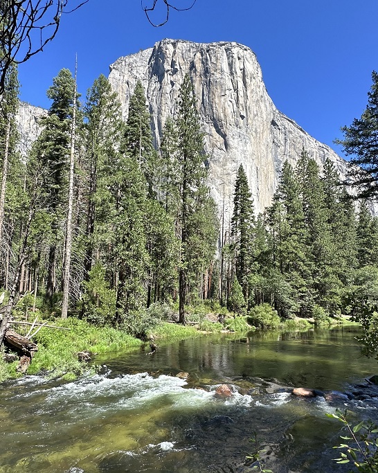 Yosemite Nationalpark: Blick auf den riesigen El Capitan und den Fluss Merced River