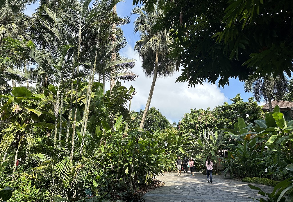 Botanischer Garten von Singapur