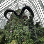 Singapur-Sehenswuerdigkeiten-Cloud-Forest-Gardens-by-the-Bay