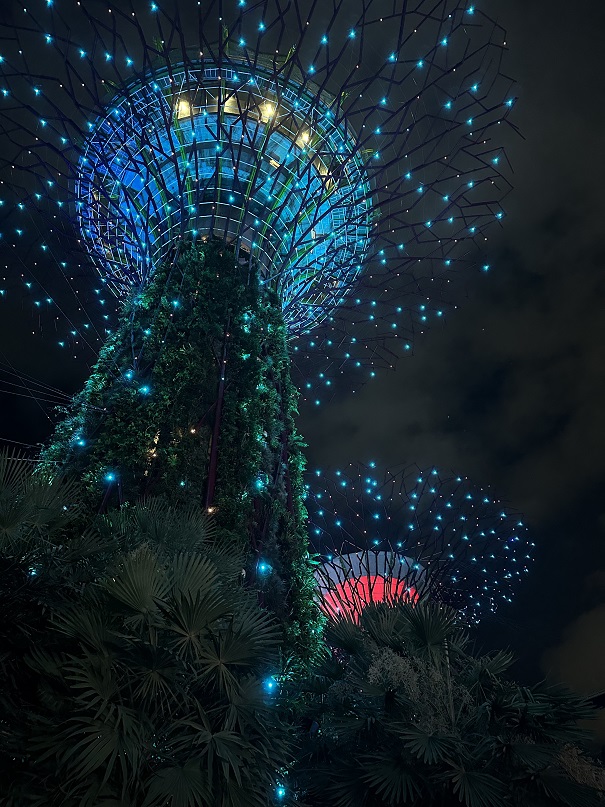 Sehenswürdigkeiten in Singapur: die berühmten Super Trees bei nächtlicher Beleuchtung und der Garden Rhapsody Show