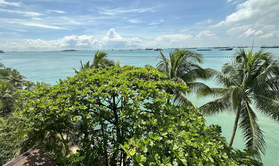 Sentosa Island: Blick vom Palawan Tower Viewpoint auf das Meer und die vielen Schiffe vor Singapur