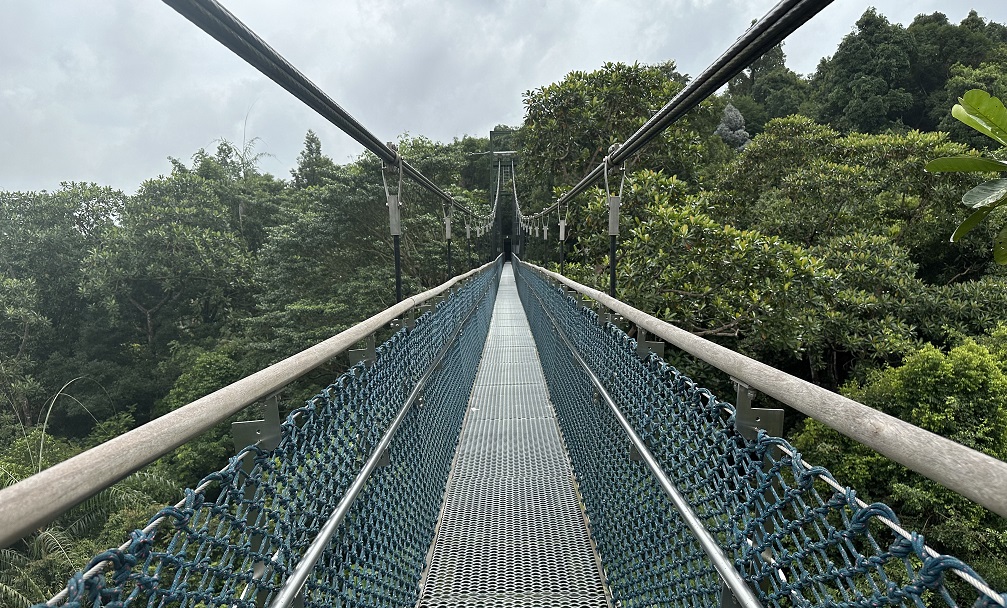 Der Treetop Walk in Singapur, eine riesige Hängebrücke mitten durch den Dschungel