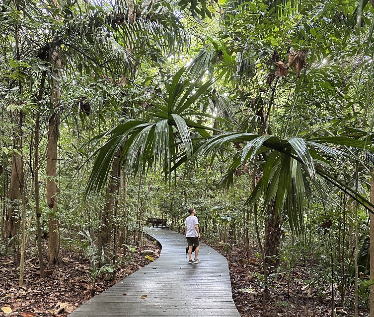 Wanderweg durch den Botanischen Garten von Singapur: Products of the forest