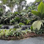 Singapur-botanischer-Garten-5-Wasserfall