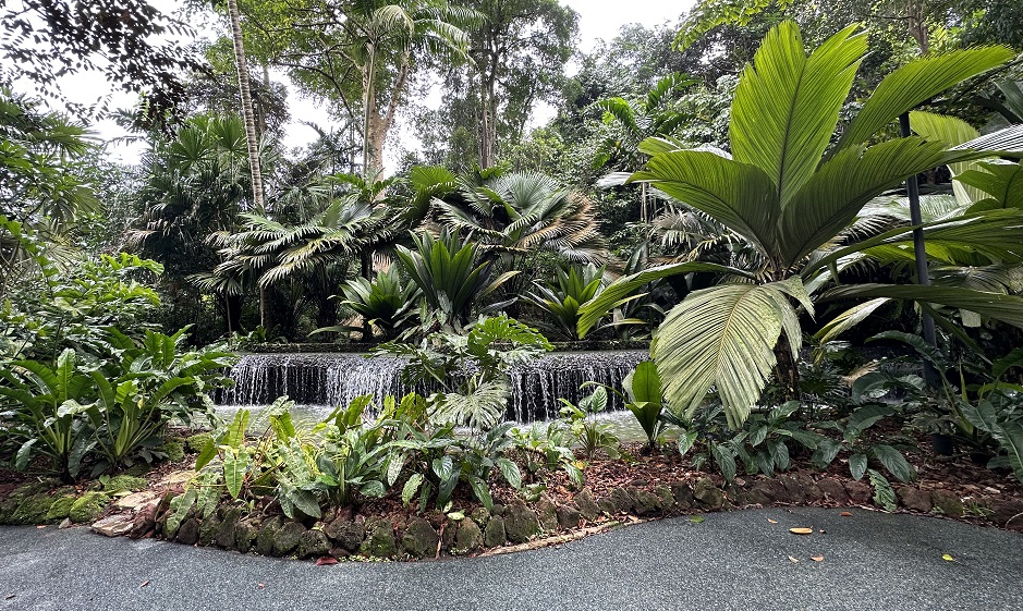 Botanischer Garten von Singapur