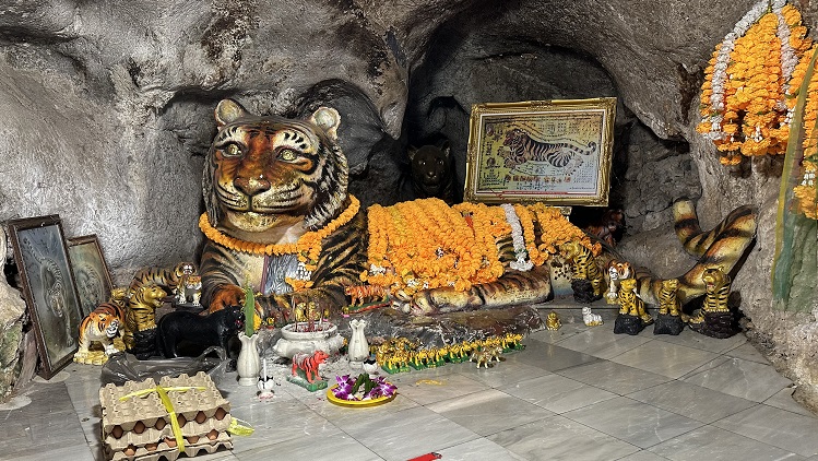 Der Tiger und der Tiger Cave Temple in Krabi, Thailand