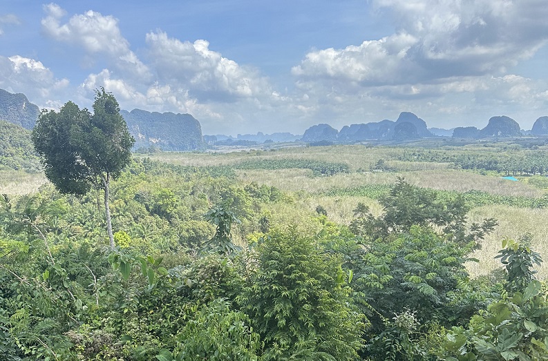 Wunderschöne Aussicht vom Din Daeng Doi Viewpoint über die Kalksteinfelsen in Krabi, Thailand