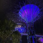 Super Trees Gardens by the Bay Garden Rhapsody