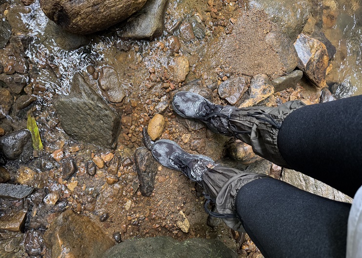 Beim Besuch im Sinharaja Regenwald in Sri Lanka werden zum Schutz vor Blutegeln spezielle Socken getragen und die Schuhe mit Salz eingerieben
