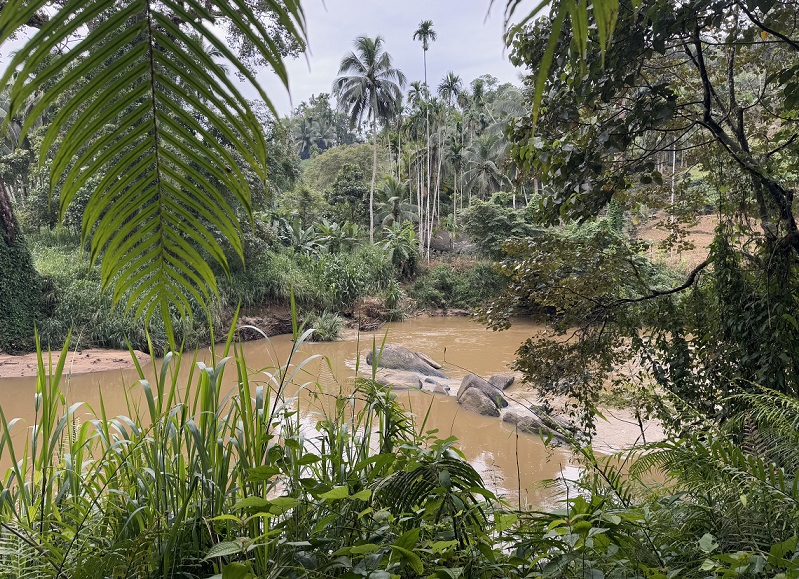 Ein Fluss im Sinharaja Regenwald in Sri Lanka nach Regenfällen