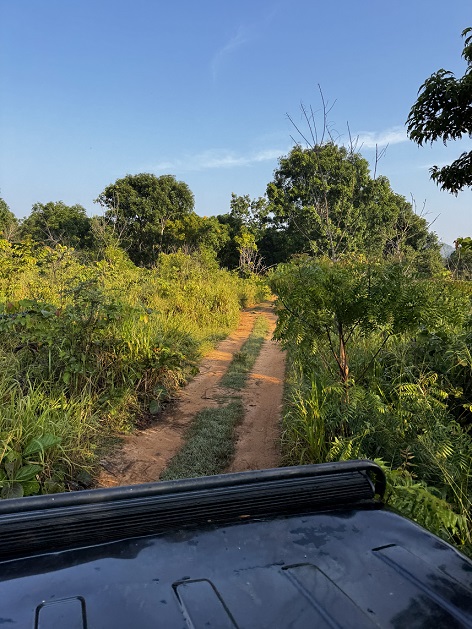 Im Geländewagen auf Elefanten Safari in Sri Lanka